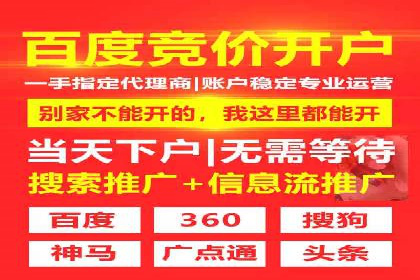 案例分析：托管SEM竞价助力电商旺季促销